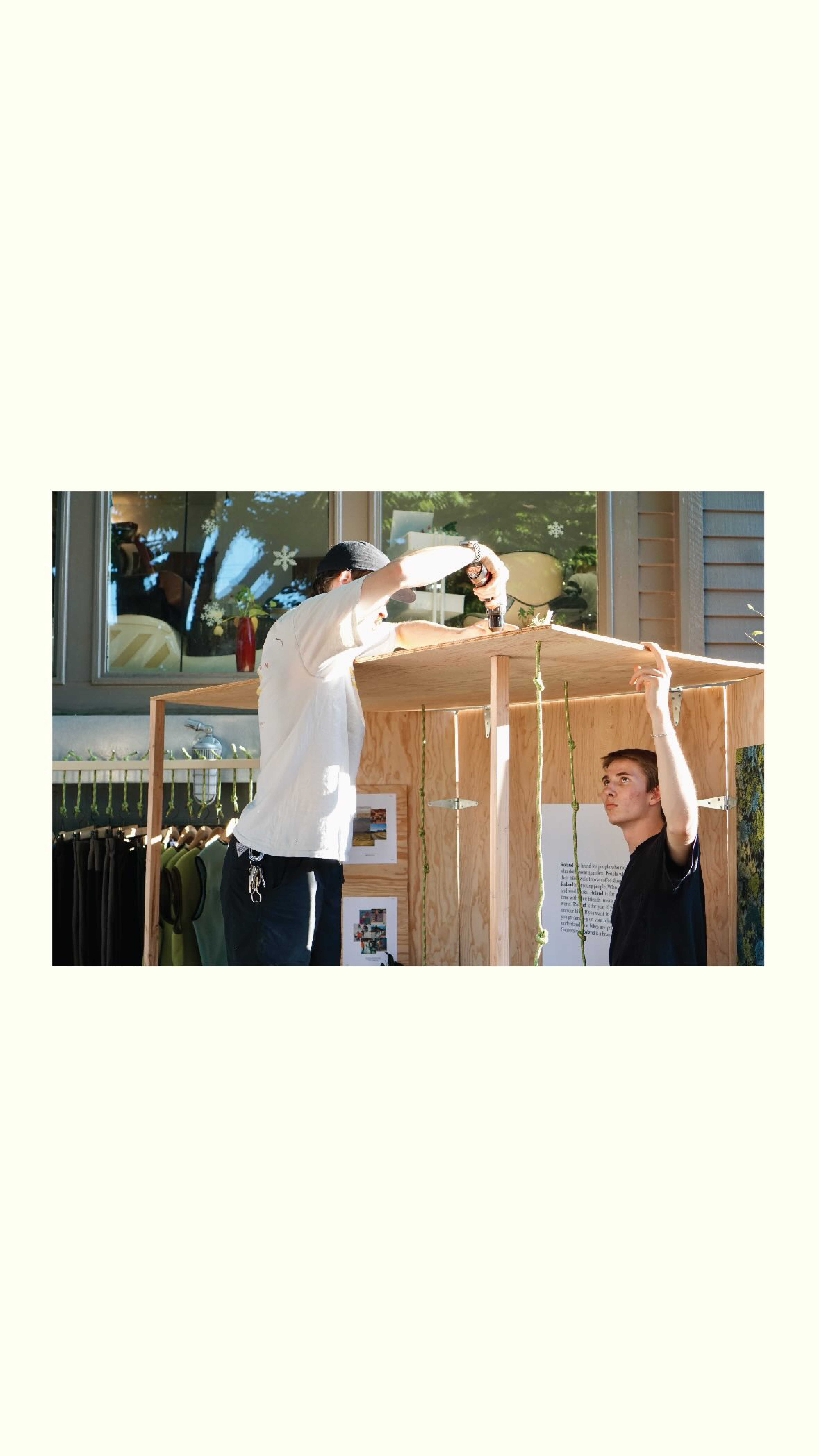 Windthrow popup photo 9